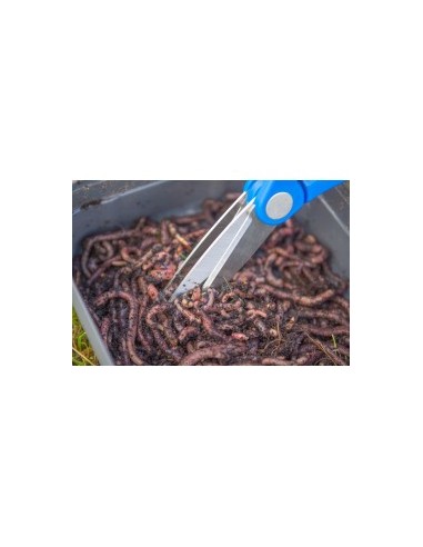 MAP DOUBLE CHOP WORM SCISSORS