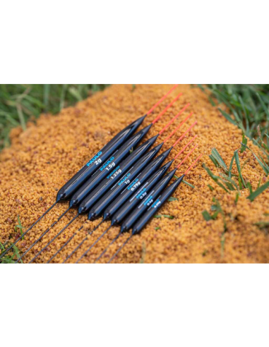 PRESTON INNOVATIONS FRIEDFISCHPOSE PAULO